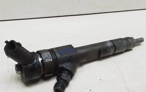 Renault Scenic II - Grand scenic II Fuel injector 0445110230