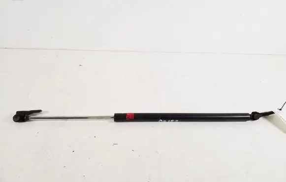 Tailgate strut