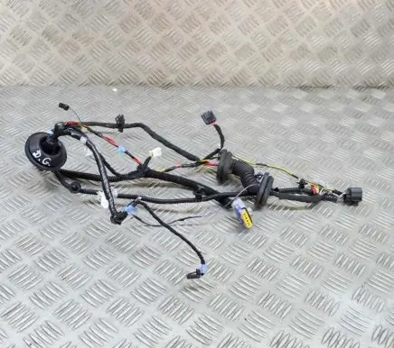 Tesla Model S Other wiring loom