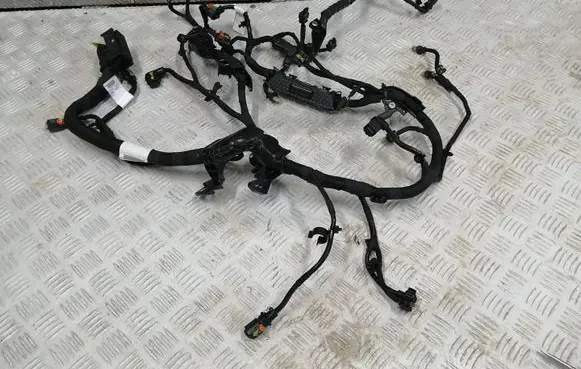 Citroen e-C3 Engine installation wiring loom 9848906080