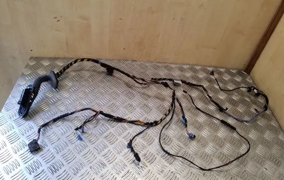BMW X6 E71 Front door wiring loom 9116974