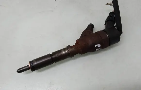 Peugeot 307 Fuel injector 9641742880