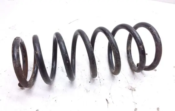 Rear coil spring