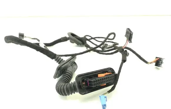 Volkswagen PASSAT B7 USA Rear door wiring loom 561971693BH TAB016615AM 70C1201