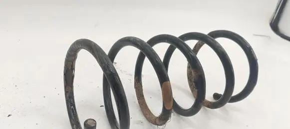 Rear coil spring