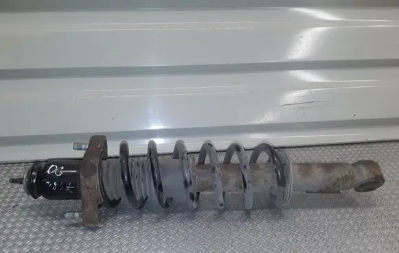 Jeep Compass Rear shock absorber with coil spring 