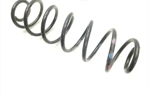 Rear coil spring