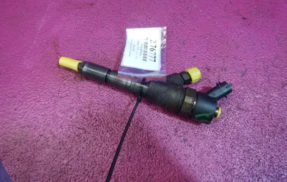 Citroen C5 Fuel injector 0445110076