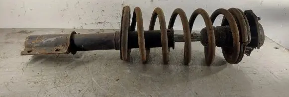 Fiat Ducato Front shock absorber with coil spring