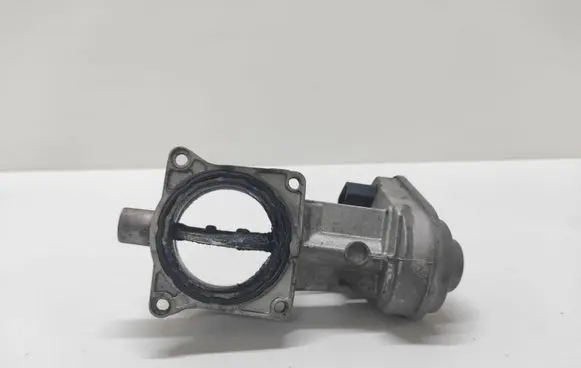 Volkswagen Touareg I Throttle valve 07Z128070G