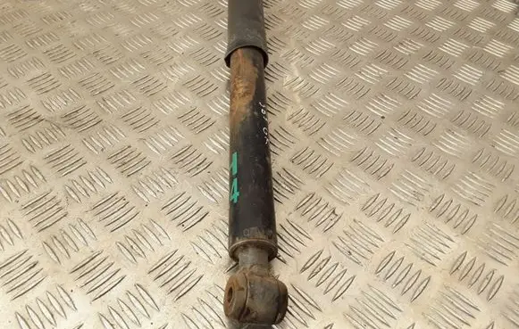 Chrysler Crossfire Rear shock absorber/damper 2083230198 A1933260100