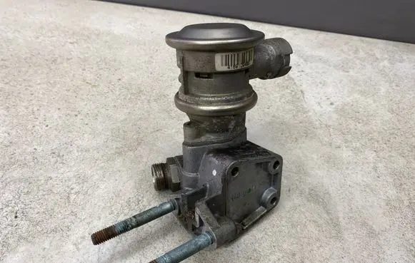 EGR valve