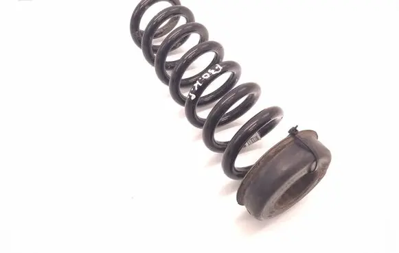 Rear coil spring