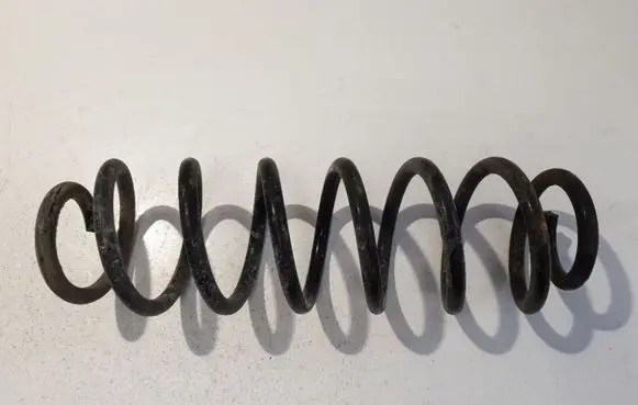 Rear coil spring