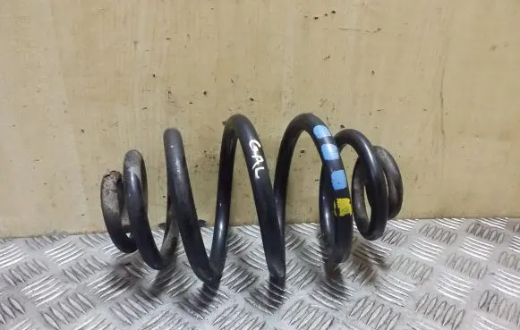 Rear coil spring