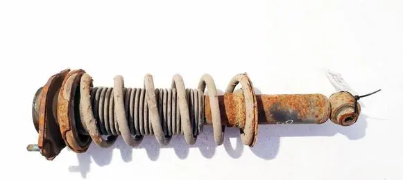 Rear coil spring