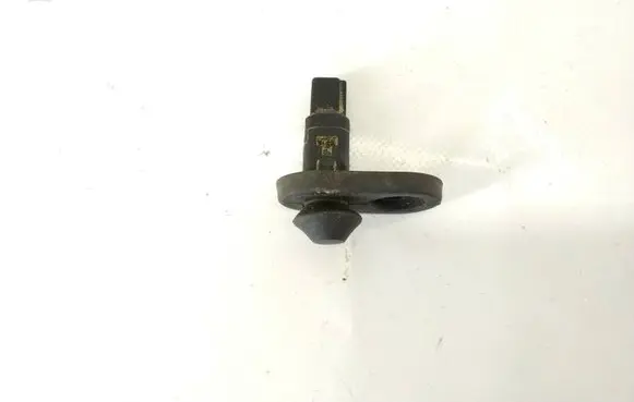 Toyota RAV 4 (XA20) Rear door sensor 
