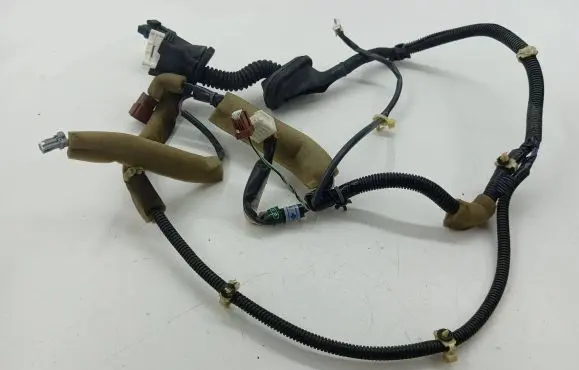 Rear door wiring loom