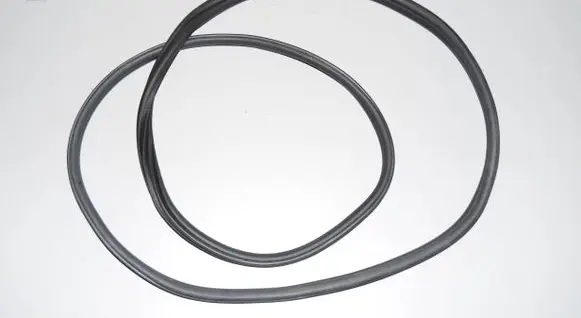 BMW iX3 G08 Front door rubber seal 7393423