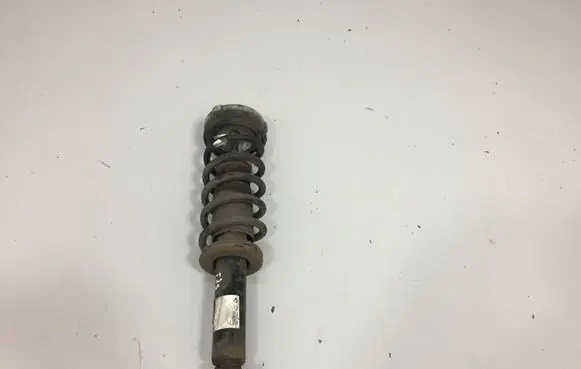 BMW X3 F25 Rear shock absorber/damper 6796422