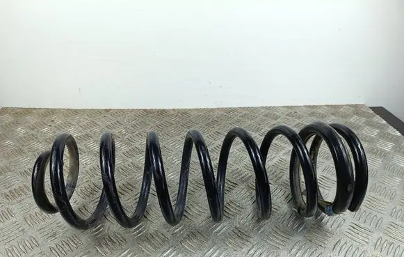 Rear coil spring