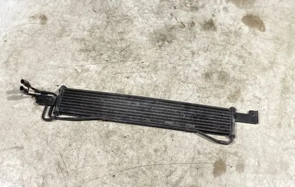 Hyundai Santa Fe Engine oil radiator 251602b100