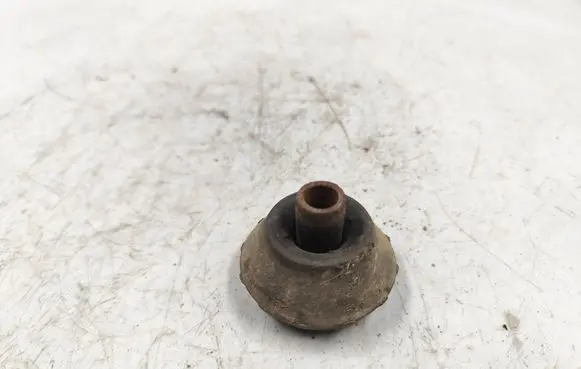 Coil spring mount