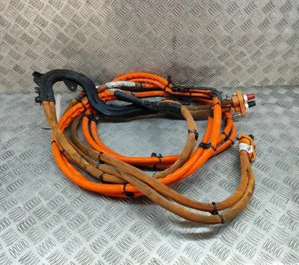 Porsche Panamera (971) Other wiring loom 971971015E