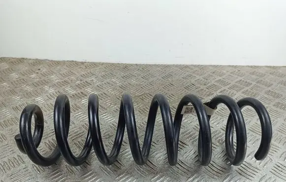 Rear coil spring