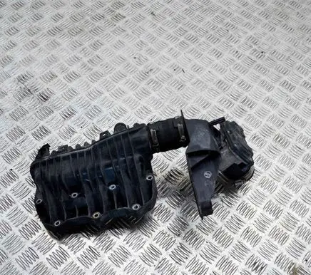 Ford Focus Intake manifold 1047092S01 50989002