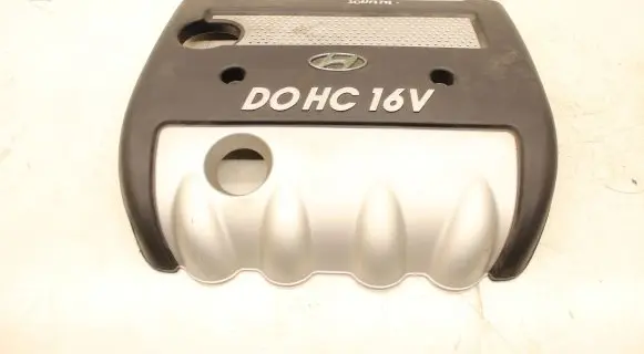 Hyundai Sonata Engine cover (trim) 2924025020