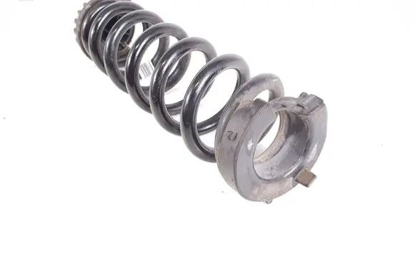 Rear coil spring