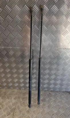 Ford Grand C-MAX Tailgate strut 