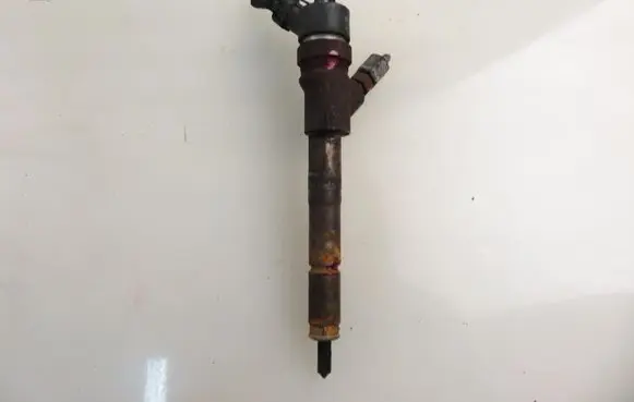 Toyota Yaris Fuel injector 236700N020 0445110214