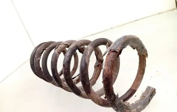 Rear coil spring