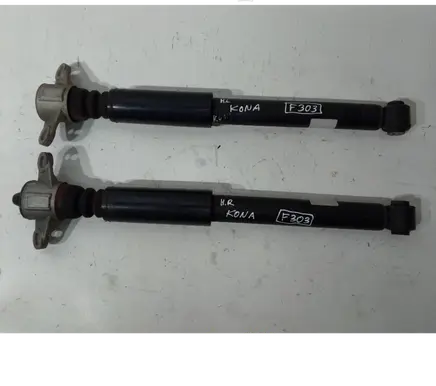 Hyundai Kona I Rear shock absorber/damper 55307