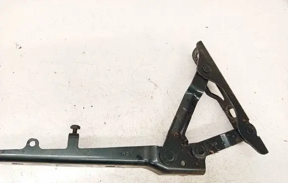 Tesla Model S Engine bonnet/hood hinges 600673700E
