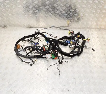 Maserati Quattroporte Other wiring loom 670007393 6700073930