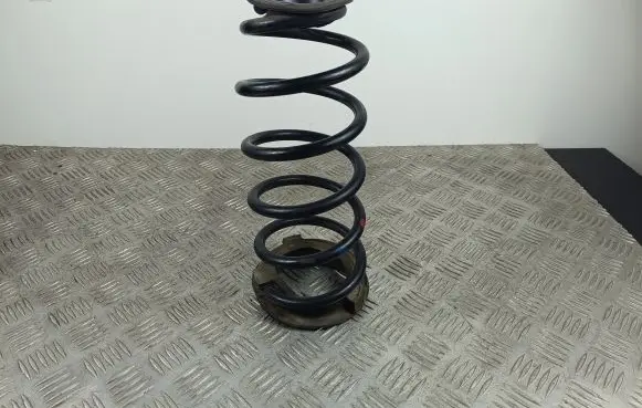 MG ZS Rear coil spring