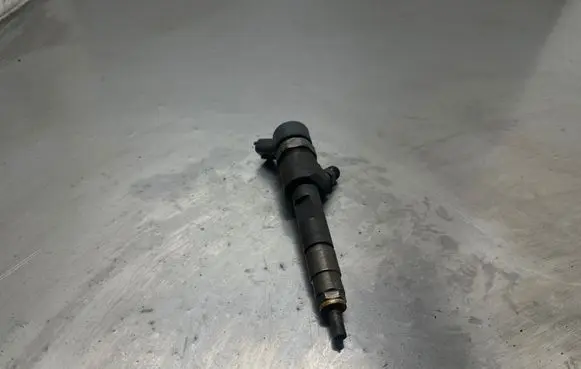 Suzuki Grand Vitara II Fuel injector 0445110230