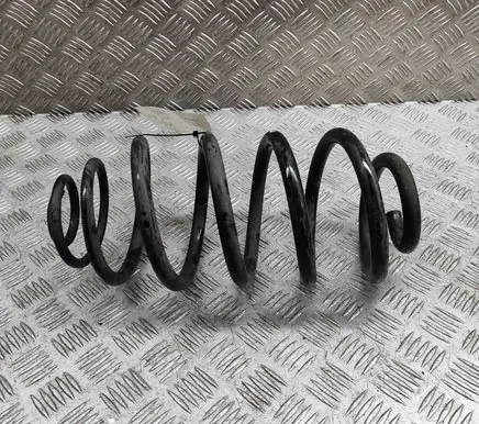 Rear coil spring