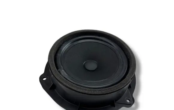 Rear door speaker