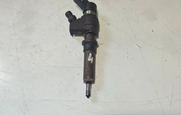 Peugeot 307 Fuel injector 9636819380