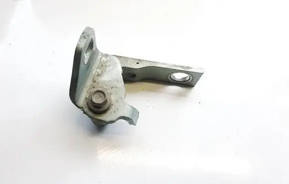 Ford C-MAX II Rear door lower hinge 