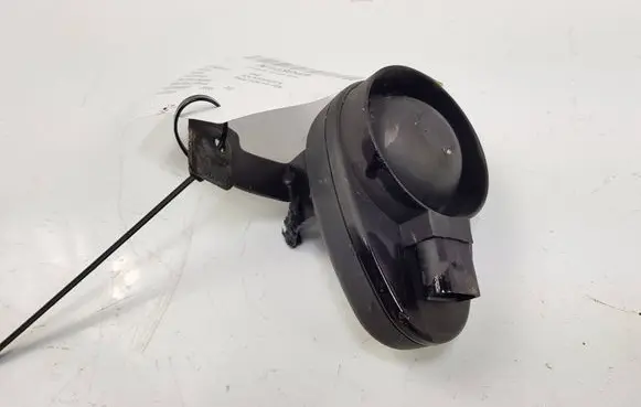 Horn signal