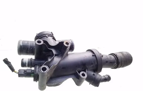 Thermostat/thermostat housing