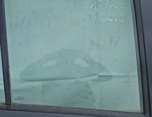Mazda 2 Rear door window glass Juoda