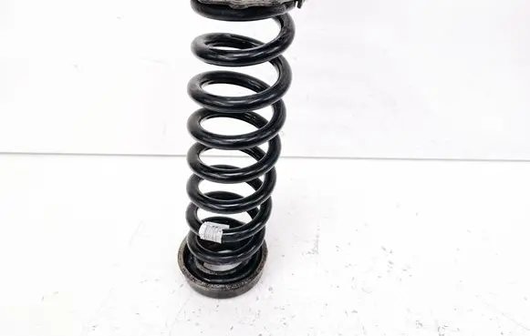 BMW 3 F30 F35 F31 Rear coil spring 