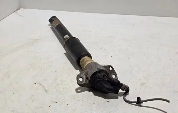 Rear shock absorber/damper