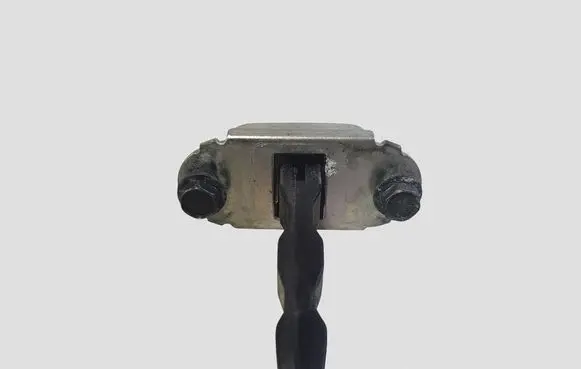 Nissan Leaf II (ZE1) Front door check strap stopper